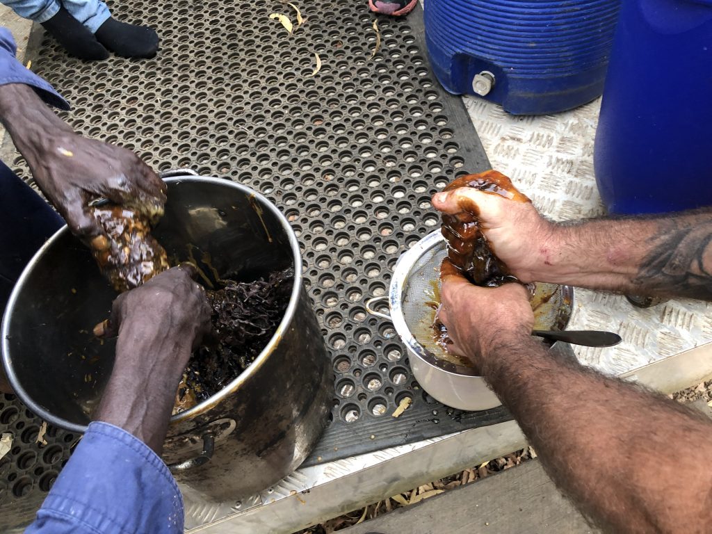 Two pairs of hands squeezing honey from native bee hives in to pots