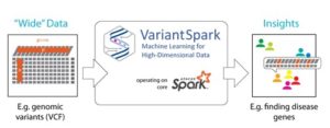 An image showing graphics in flow box style with "Wide" data in the first box flowing to a box that contains Variant Spark (which explains VariantSpark is Machine Learning for High High-Dimensional Data and that it operates on core Spark) and flows to a box which says Insights and explains it finds disease genes in people