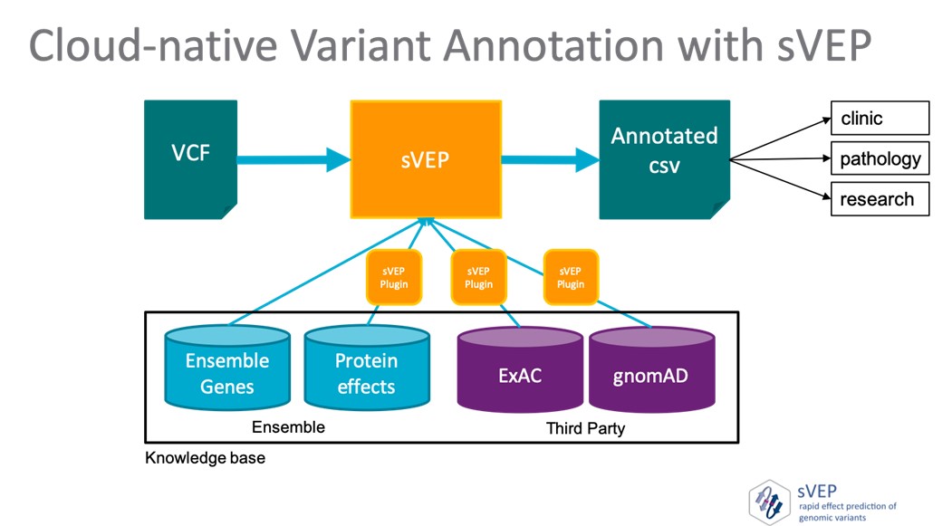 A graphic titled "Cloud-native Variant Annotation with sVEP. It shows steps in text boxes flowing left to right. 1st box VCF flows to 2nd box sVEP flows to Annotated csv which has three separate boxes flowing from it box a) clinic box b) pathology box c) research. The sVEP box has three vertical boxes flowing from it which say box a) sVEP plugin box b) sVEP plugin box c) sVEP plugin flowing below those boxes is on large text box which says Ensemble genes and Protein Effects on the right under a subheading of ensemble and on the the left Exac and gnomAD under a heading of THird Party