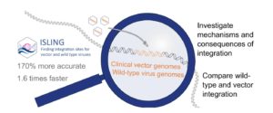 A graphic showing a graphic design of a microscope over a genome sequence representing ISLING seeking clinical viral vector genomes and wild-type virus genomes