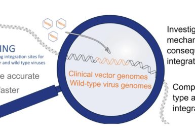 A graphic showing a graphic design of a microscope over a genome sequence representing ISLING seeking clinical viral vector genomes and wild-type virus genomes